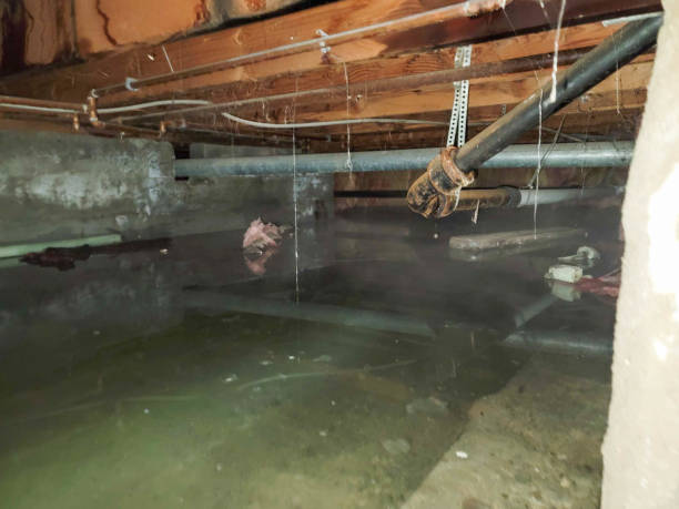 Best Professional water damage repair  in Weatherford, OK
