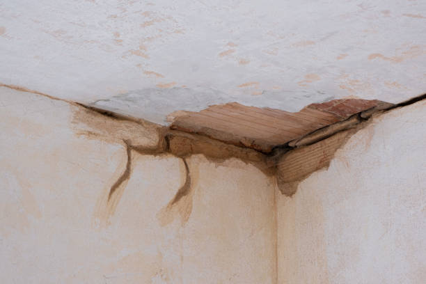 Best Mold removal after water damage  in Weatherford, OK