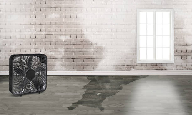 Best Local water damage restoration  in Weatherford, OK