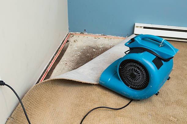 Best Sewage cleanup and water damage restoration  in Weatherford, OK